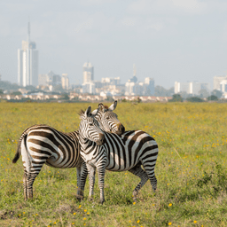 Nairobi, Kenya