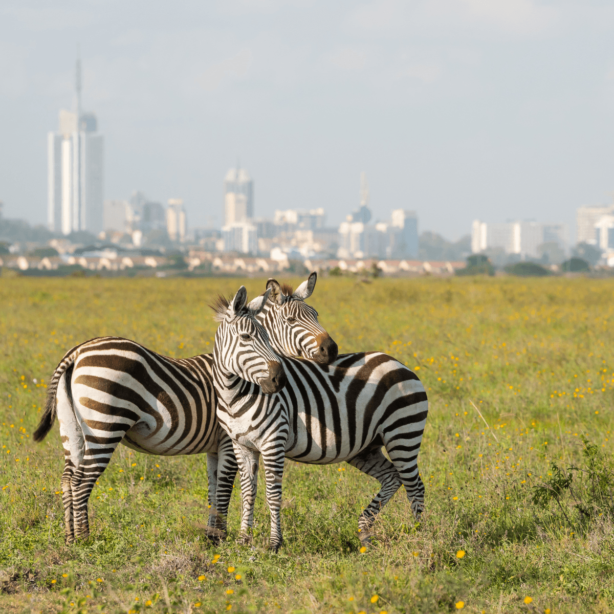 Nairobi, Kenya